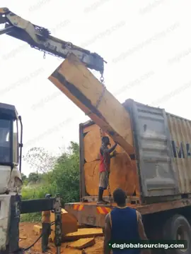 We Need Bilinga Squared Wood Supplier In Congo