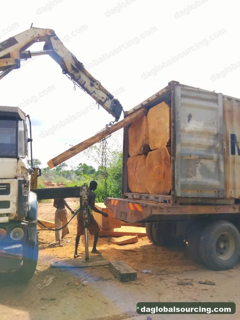 Bilinga squared from Nigeria — goods a Vietnam buyer wants