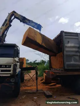 Bilinga from Nigeria — real goods photo 2