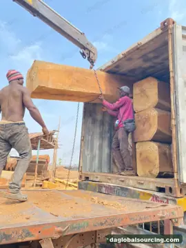 We Need Iroko Logs Supplier In Congo