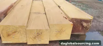 We Need Mashonate (Tulpay) Squared Wood Supplier In Peru