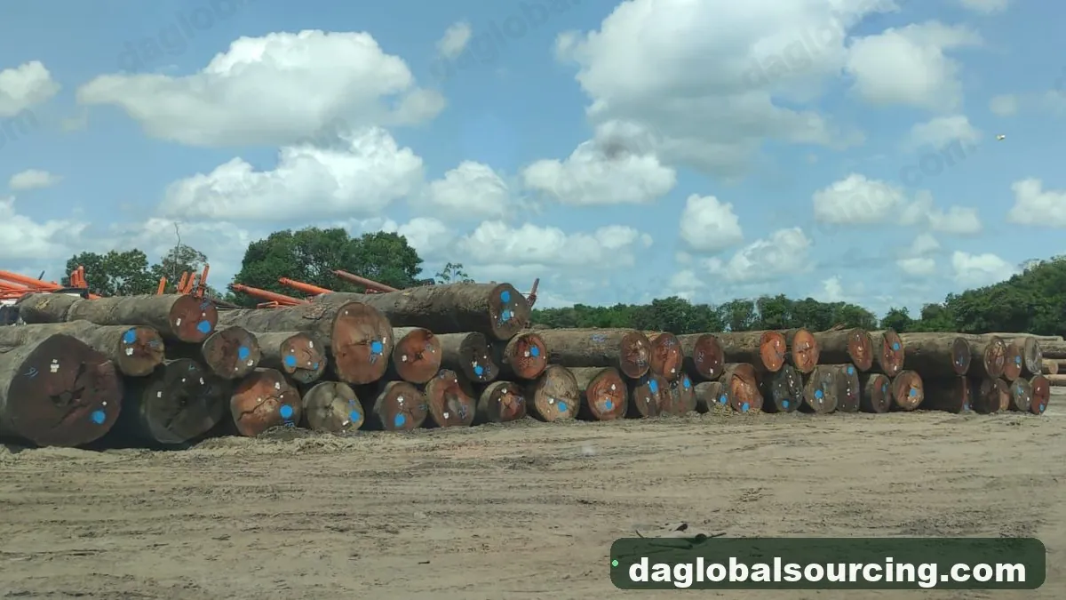 Mkb logs from Suriname — goods a Vietnam buyer wants