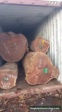 We Need Pachyloba (Afzelia) Logs Supplier In Central African Republic