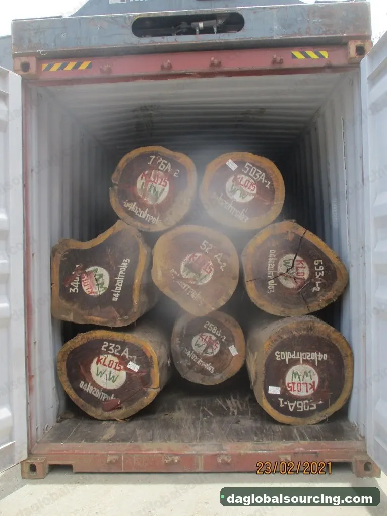 Padouk logs from Congo — goods a Vietnam buyer wants