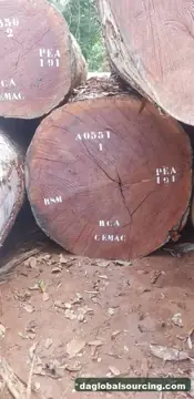 We Need Sapelli (Sapele) Logs Supplier In Central African Republic