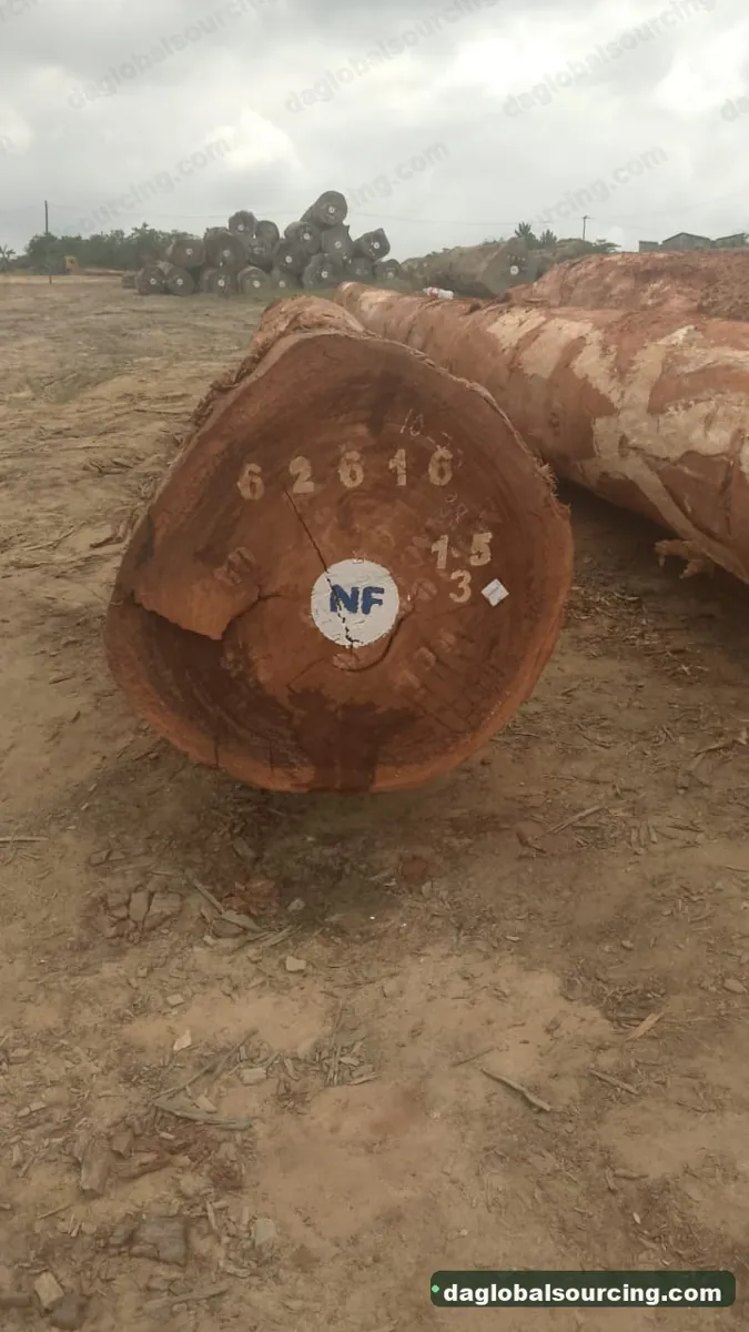 Tali (Ironwood) logs from Cameroon — goods a Vietnam buyer wants