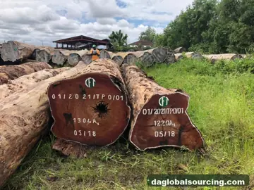We Need Tali (Ironwood) Logs Supplier In Central African Republic