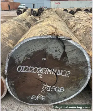 Wenge from Congo — real goods photo 2