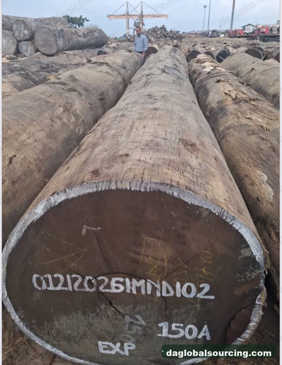 Wenge logs from Congo — goods a Vietnam buyer wants