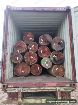 We Need WPL (Witte Pinto Locus) Logs Supplier In Suriname