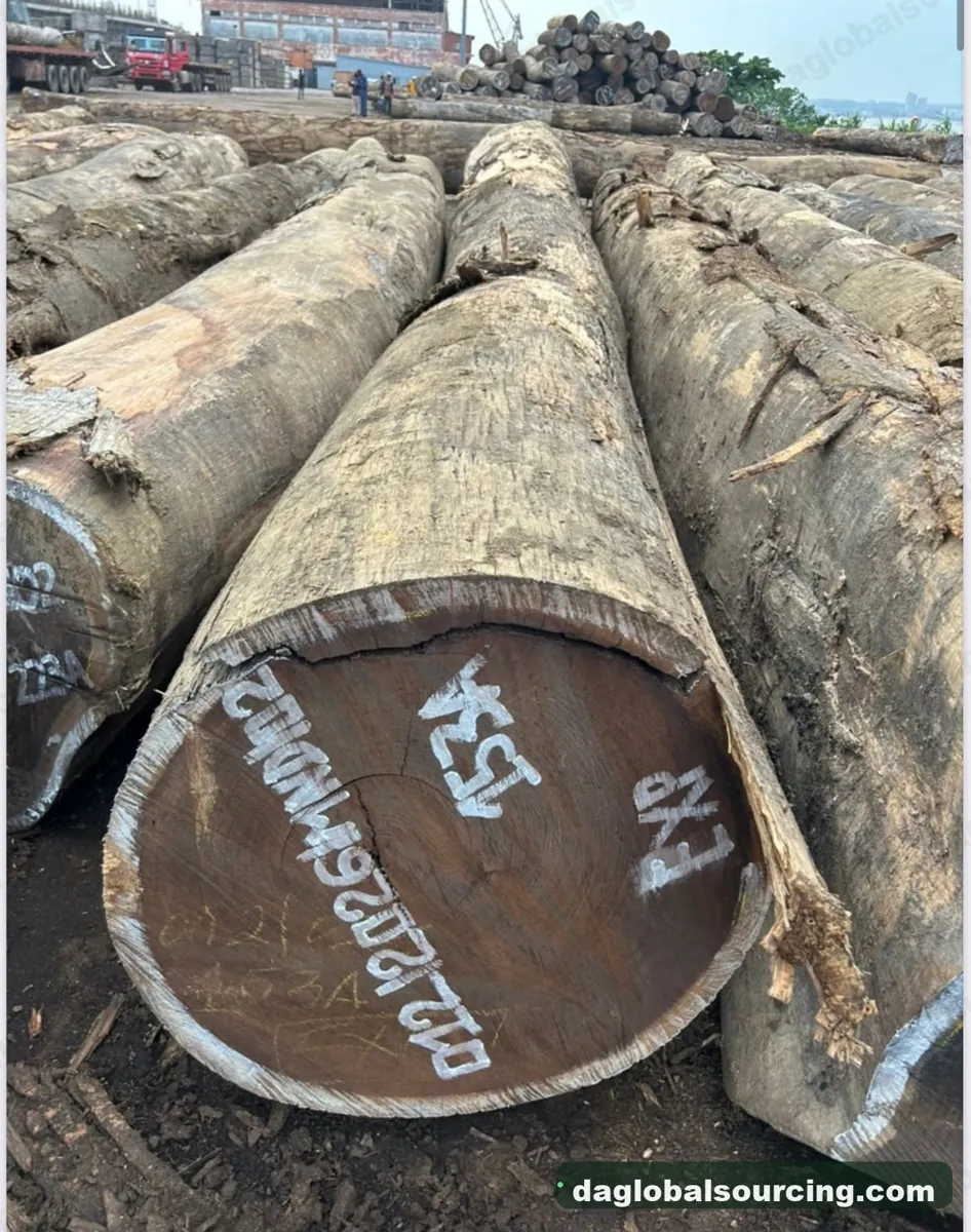 Wenge logs from Congo — goods a Vietnam buyer wants