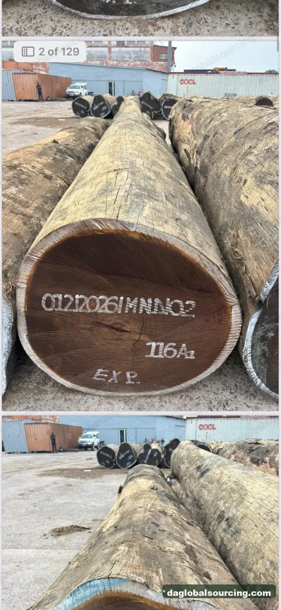 Wenge logs from Congo — goods a Vietnam buyer wants