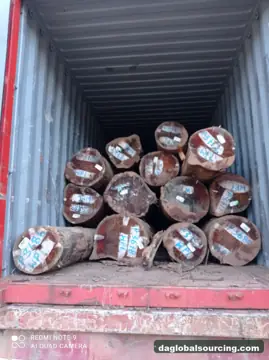 WPL (Witte Pinto Locus) Logs From Suriname - Vietnam Buyer Wanted