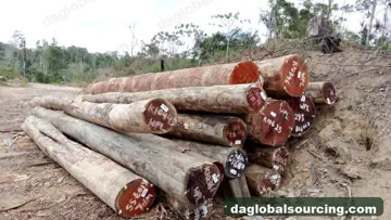Wpl from Suriname — real goods photo 2