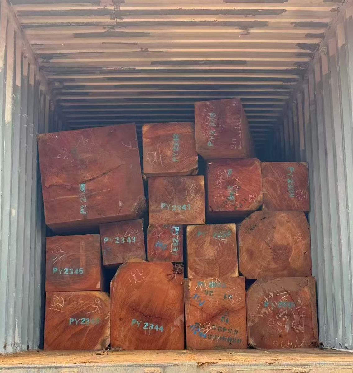 Pachyloba squared timber loaded in a shipping container